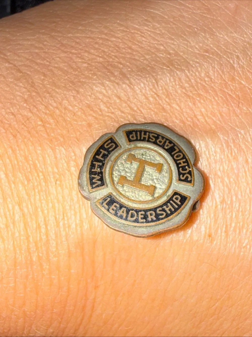 School Emblem Pin Bronze & Black enamel Scholarship Leadership VINTAGE